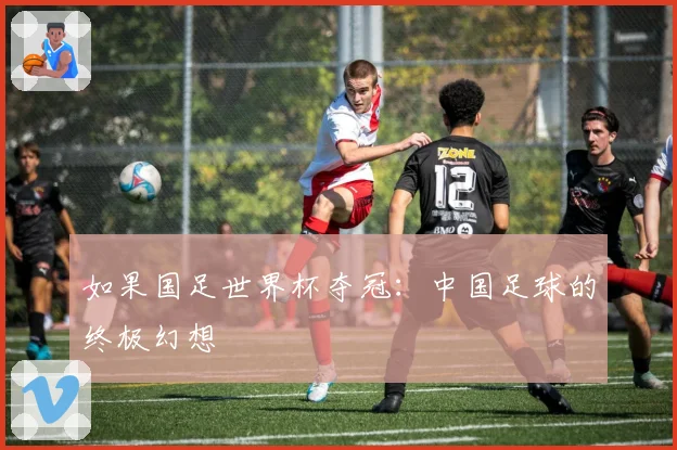 如果国足世界杯夺冠：中国足球的终极幻想
