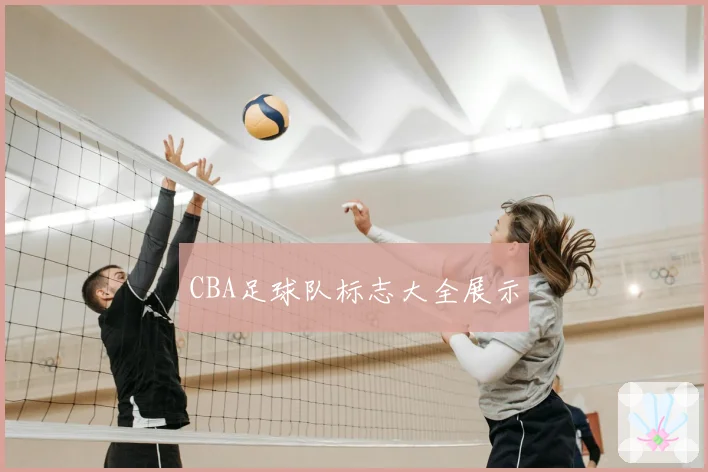 CBA足球队标志大全展示