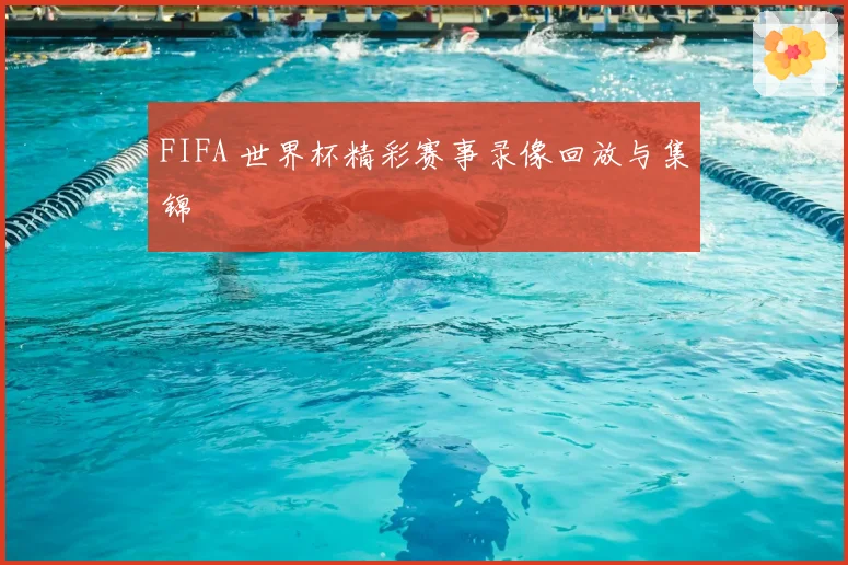 FIFA 世界杯精彩赛事录像回放与集锦