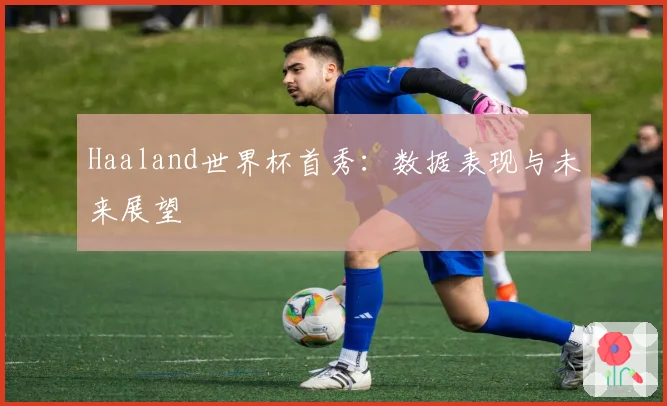 Haaland世界杯首秀：数据表现与未来展望