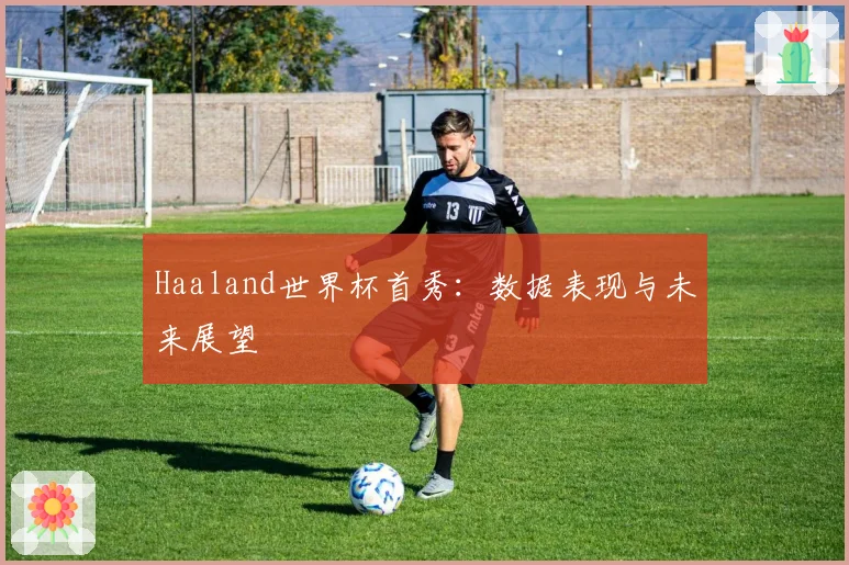 Haaland世界杯首秀：数据表现与未来展望