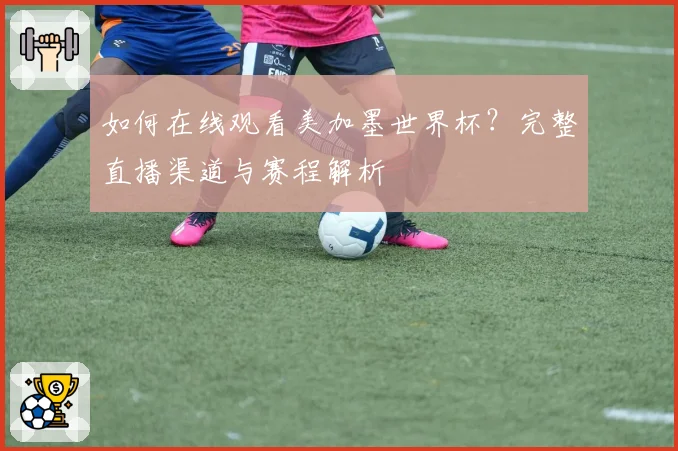 如何在线观看美加墨世界杯？完整直播渠道与赛程解析