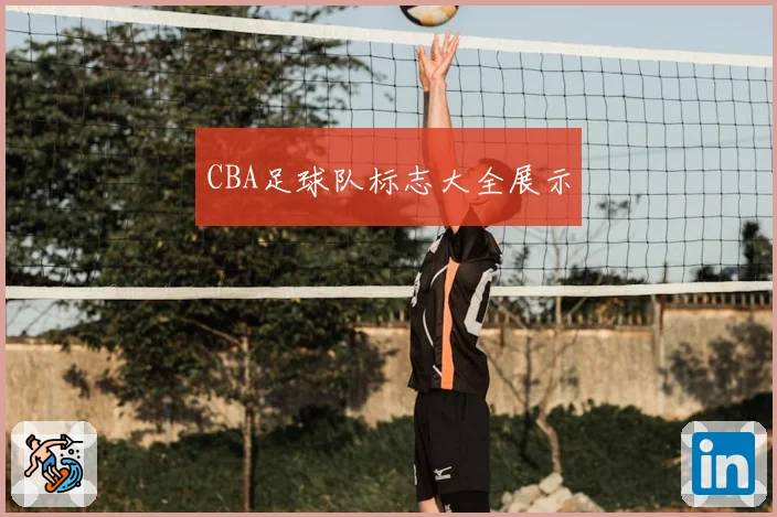 CBA足球队标志大全展示