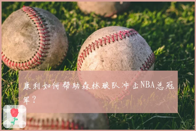 康利如何帮助森林狼队冲击NBA总冠军？